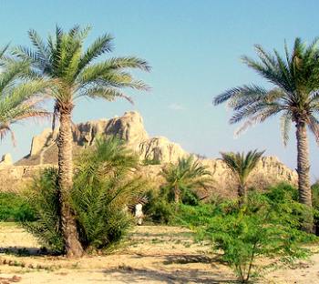 turbat city