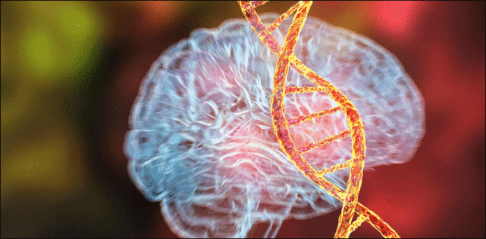 German Scientists Identify First Gene Directly Causing Mental Illness