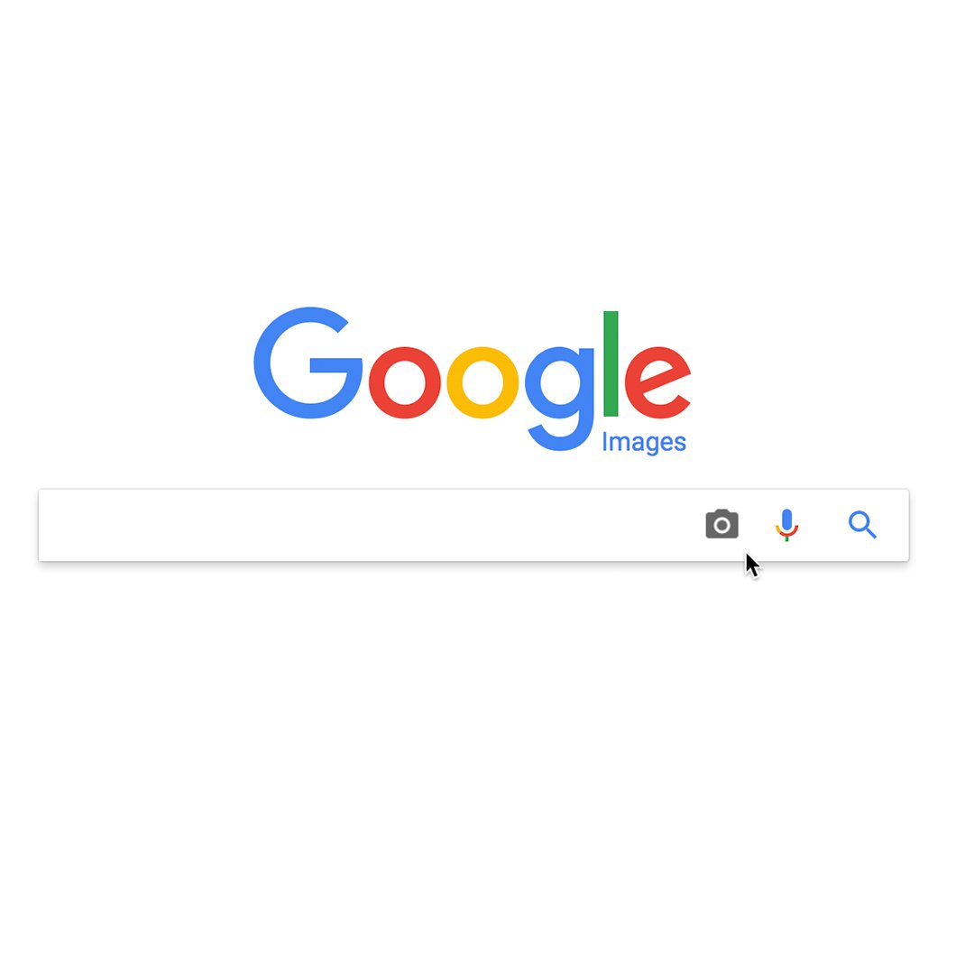 Google Search Trends 2025 in Pakistan , Cricket and AI Lead the List