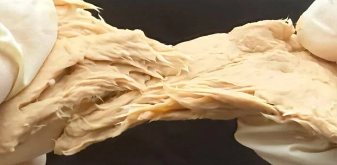 Chinese Scientists Create High-Protein Chicken-Like Meat Using Genetically Modified Fungus