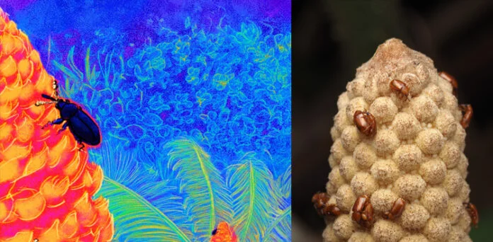 The Amazing Secret of Plants: How Bees Reach Every Flower