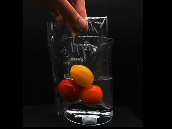 Scientists Develop Plastic That Completely Decomposes in Nature