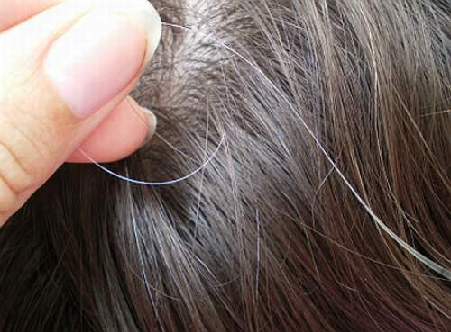 ایک سفید بال توڑنے سے باقی بال بھی سفید ہو جاتے ہیں؟ سائنسی حقیقت کیا ہے