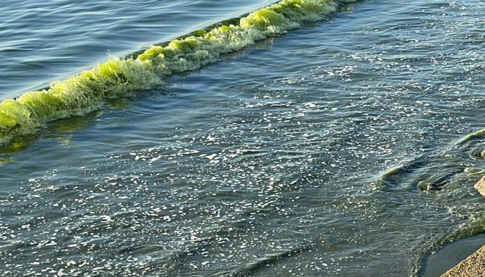 jiwani sea